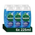 Radox Mineral Therapy Feel Awake 2-in-1 Shower Gel & Shampoo Body Wash uniquely blended with herbs and a sea mineral & fennel fragrance for a refreshing experience 6x 225 ml