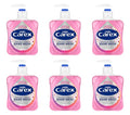 Carex 2 Hour Protection Antibacterial Peony and Blossom Hand Wash, Clean & Protect Hands, Bulk Buy, Pack of 6 x 250ml